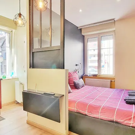 Splendide Centre Apartmán Colmar