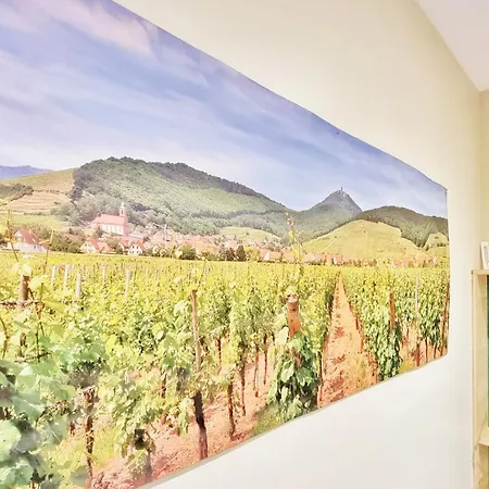 アパート Splendide Centre *