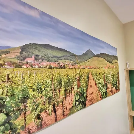 Apartmán Splendide Centre