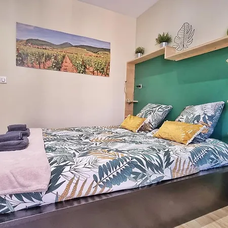 アパート Splendide Centre コルマール