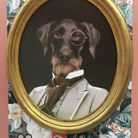 Apartmán Splendide Centre Colmar