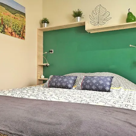 Splendide Centre Apartment Colmar