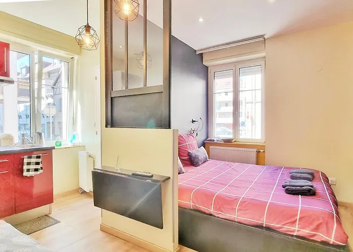 Splendide Centre Apartamento Colmar