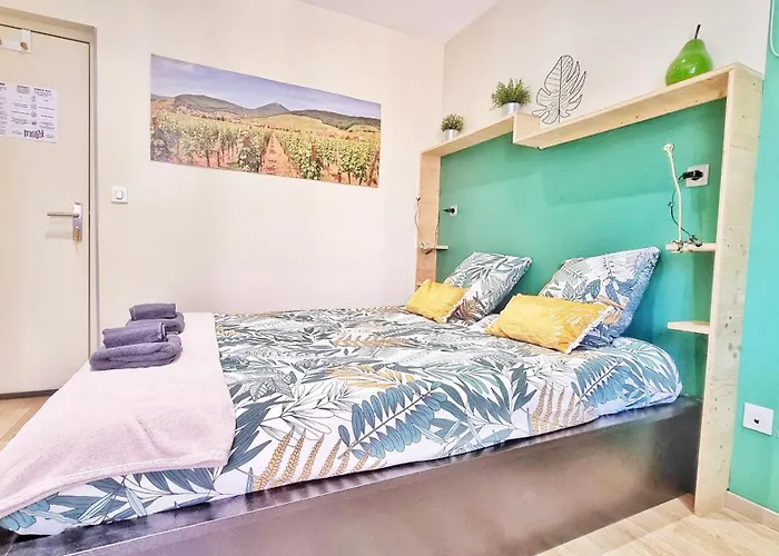 Apartamento Splendide Centre Colmar