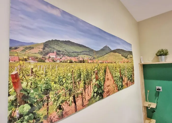 Apartamento Splendide Centre