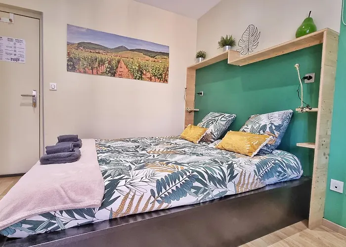 Apartamento Splendide Centre Colmar