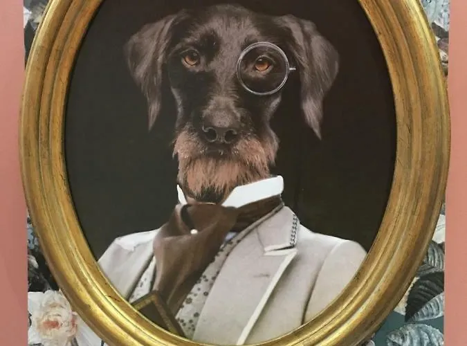 Apartamento Splendide Centre Colmar